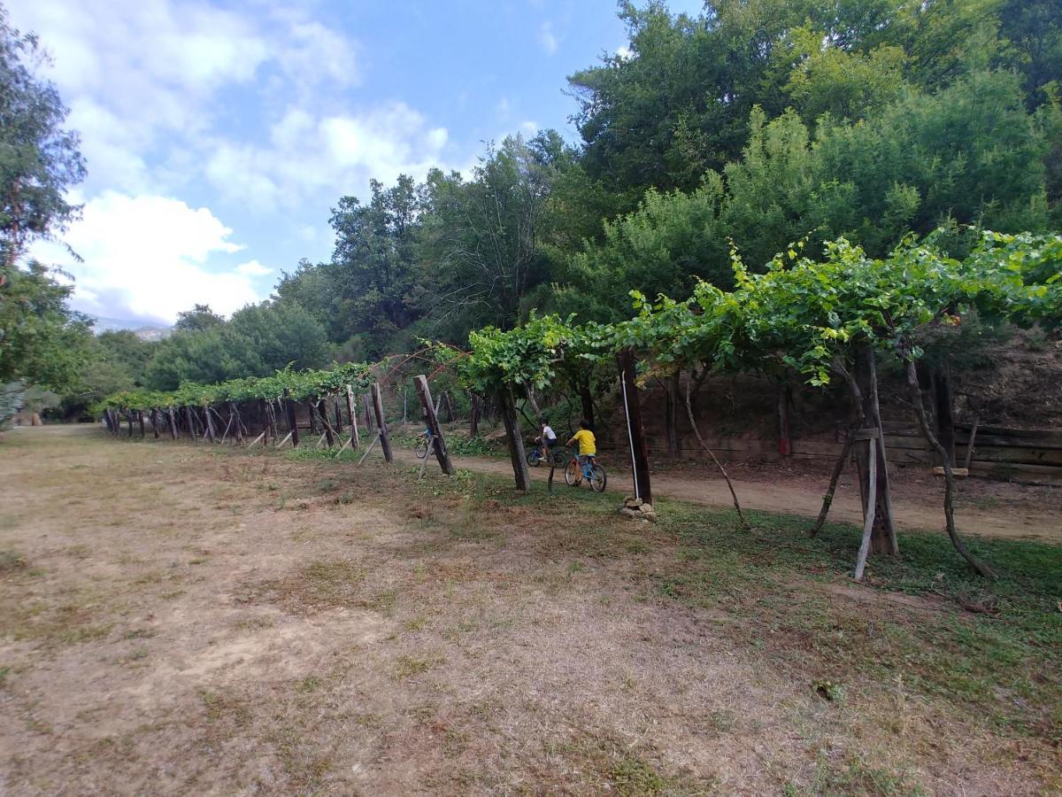 多尔切阿夸 Agricamping Ponteraggio N.1酒店 外观 照片