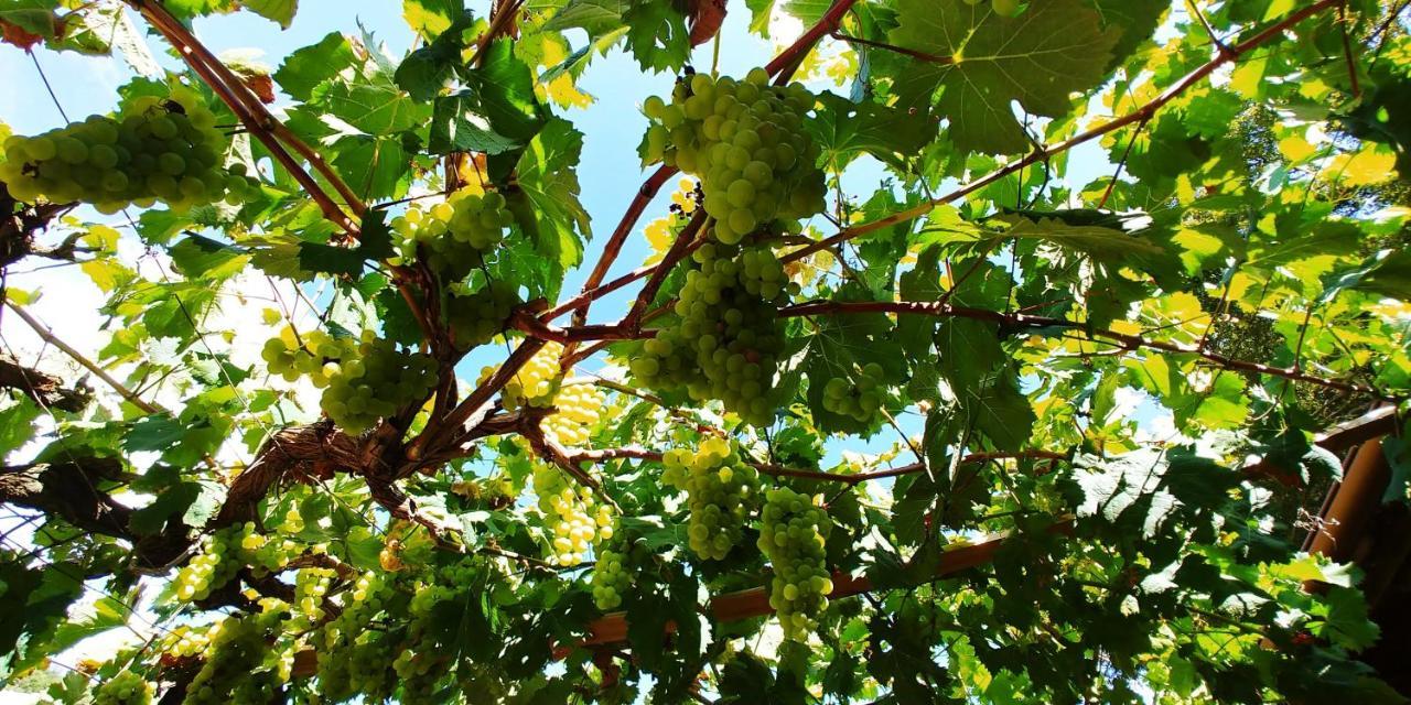 多尔切阿夸 Agricamping Ponteraggio N.1酒店 外观 照片