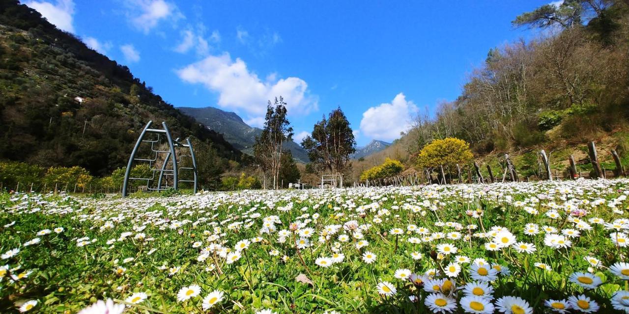 多尔切阿夸 Agricamping Ponteraggio N.1酒店 外观 照片
