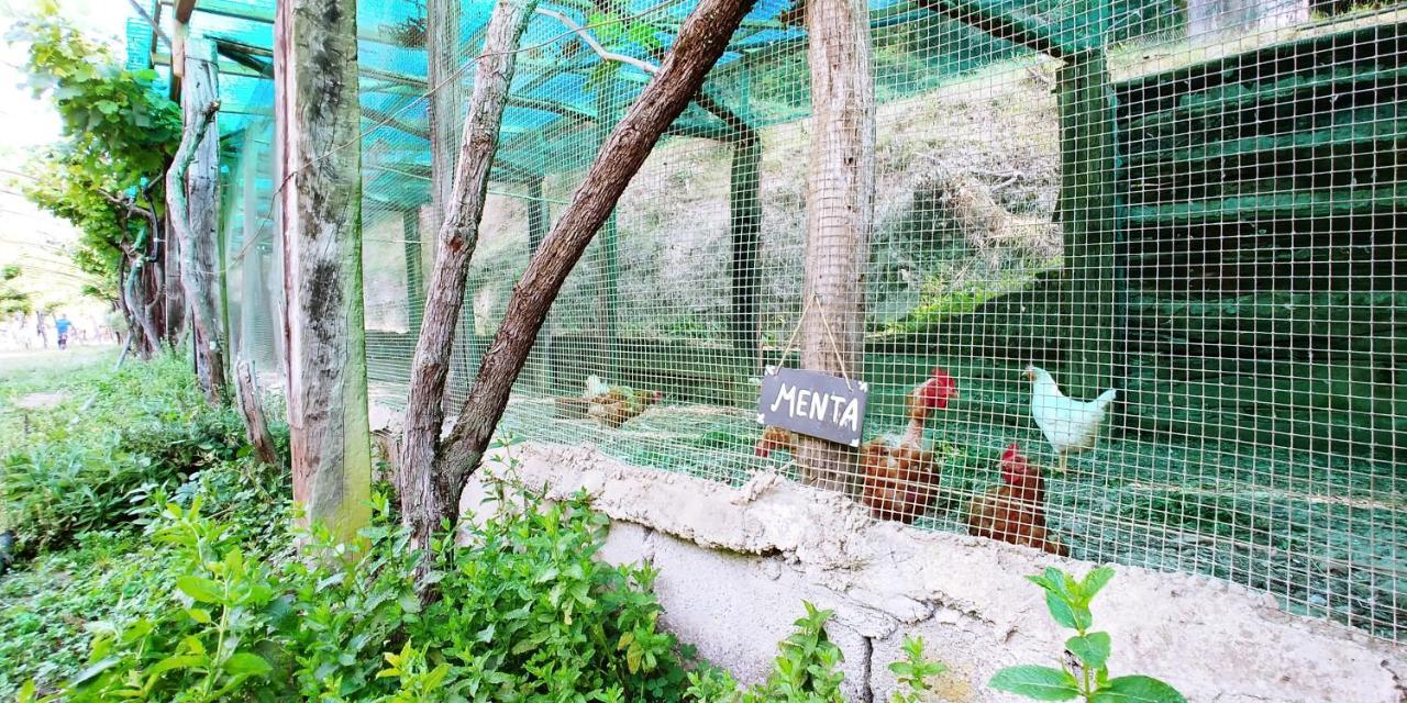 多尔切阿夸 Agricamping Ponteraggio N.1酒店 外观 照片