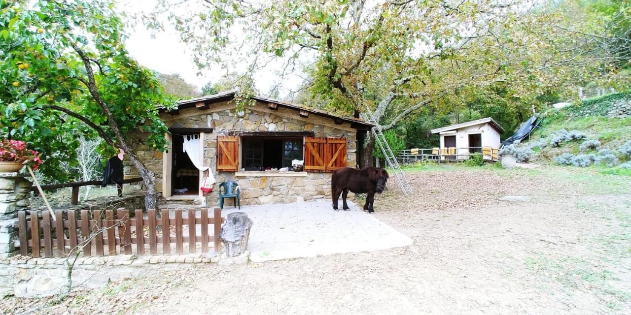 多尔切阿夸 Agricamping Ponteraggio N.1酒店 外观 照片