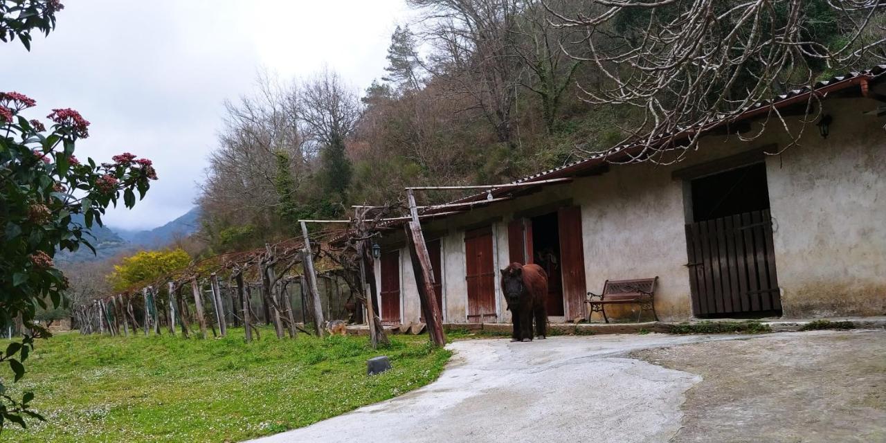 多尔切阿夸 Agricamping Ponteraggio N.1酒店 外观 照片